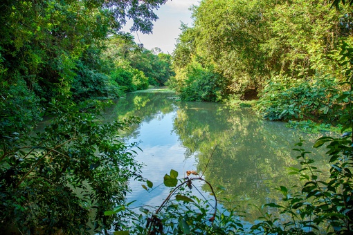 No Dia Mundial do Meio Ambiente, GS Inima SAMAR anuncia estudo sobre o ribeirão Baguaçu