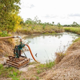 Nascente do Ribeirão Baguaçu