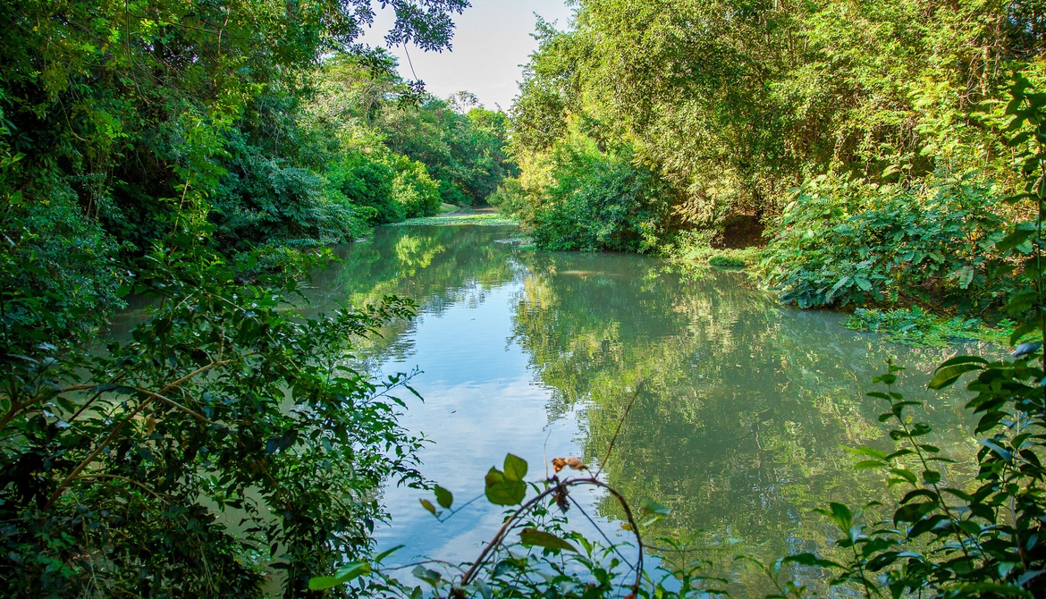 No Dia Mundial do Meio Ambiente, GS Inima SAMAR anuncia estudo sobre o ribeirão Baguaçu