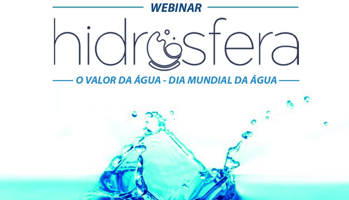Valorização da água é tema de webinar da GS Inima